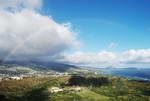 Diamond Head trail